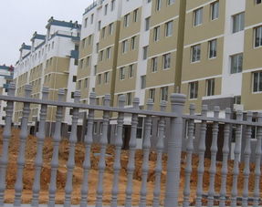 胶南市东盛新型建材厂